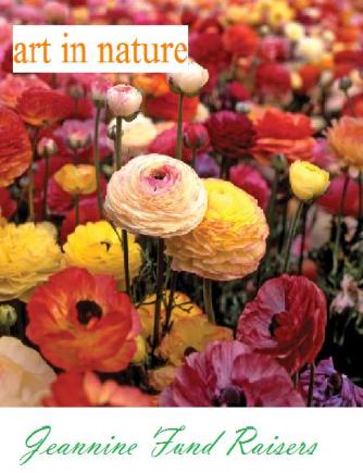 Art in Nature - Spring 2013 Flower Bulbs  - Click to see full brochure.